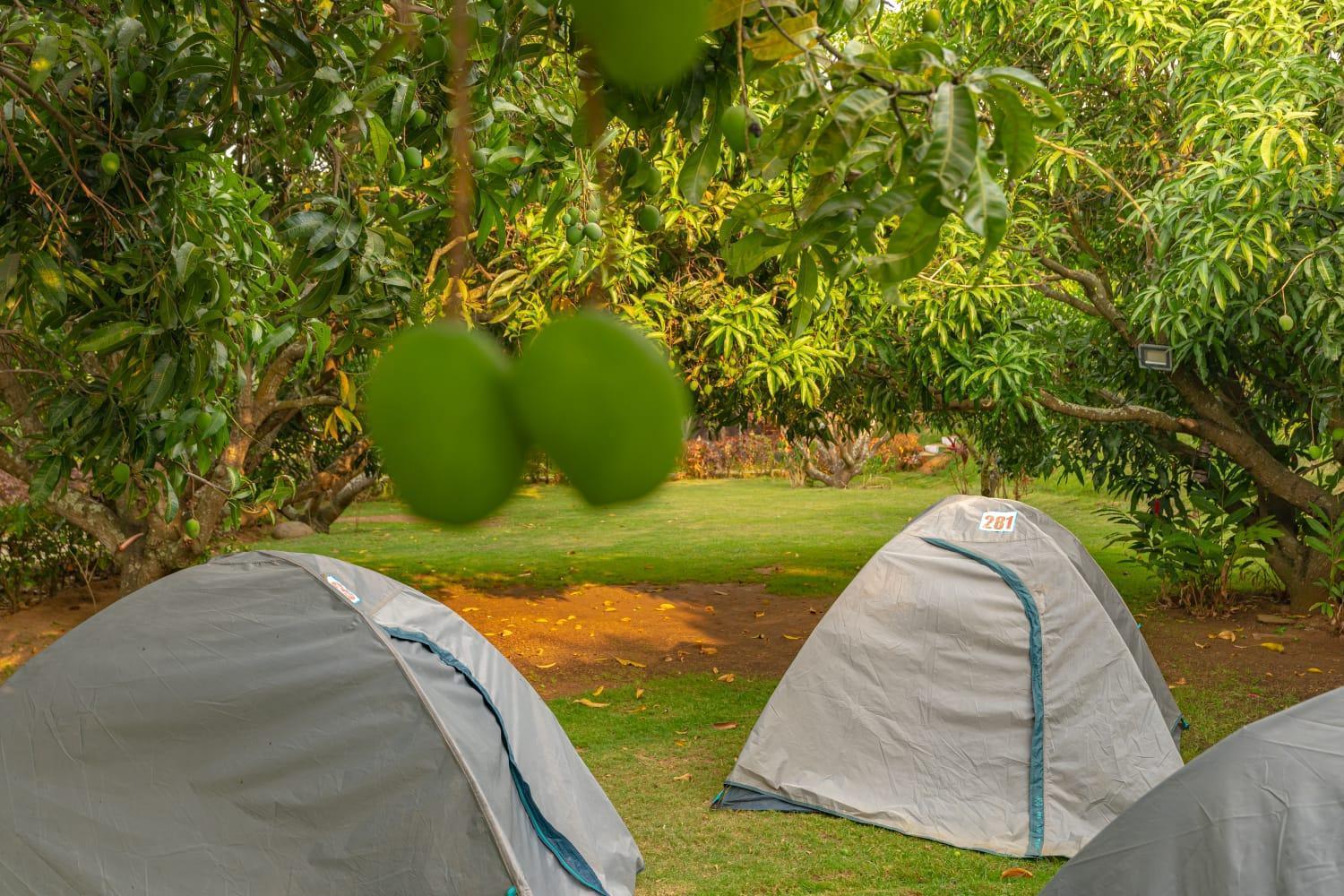 Q Mango Resort Rāmanagaram 外观 照片